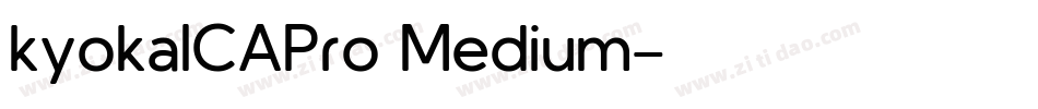 kyokaICAPro Medium字体转换